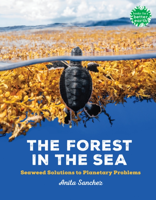 The Forest in the Sea : Seaweed Solutions to Planetary Problems, Paperback / softback Book
