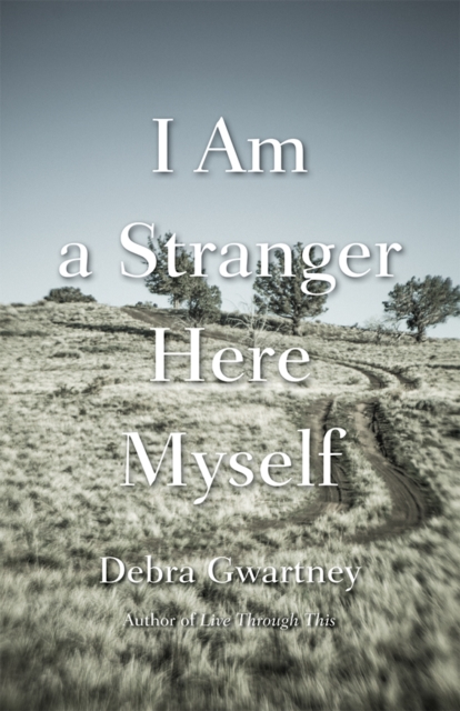 I Am a Stranger Here Myself, EPUB eBook