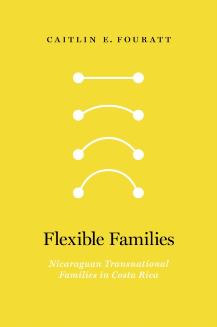 Flexible Families : Nicaraguan Transnational Families in Costa Rica, PDF eBook