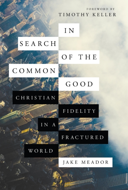 In Search of the Common Good : Christian Fidelity in a Fractured World, EPUB eBook