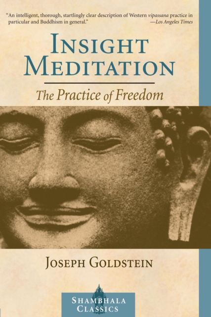 Insight Meditation, EPUB eBook