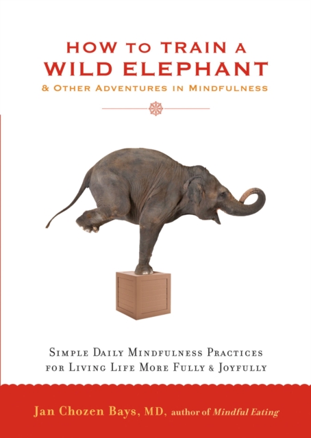 How to Train a Wild Elephant, EPUB eBook