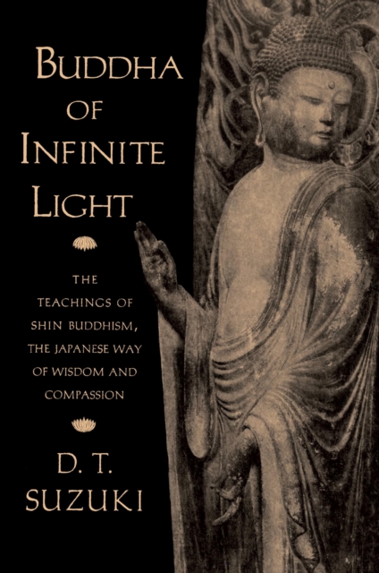 Buddha of Infinite Light, EPUB eBook