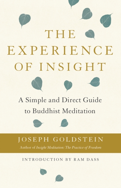 Experience of Insight, EPUB eBook