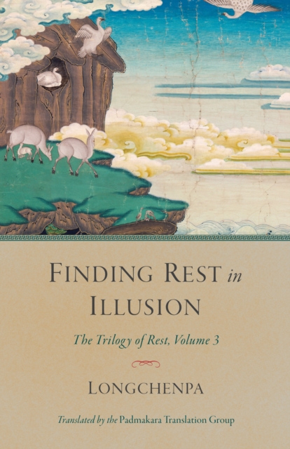 Finding Rest in Illusion, EPUB eBook
