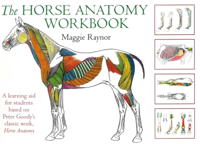 Horse Anatomy Workbook : A Learning Aid for Students Based on Peter Goody's Classic Work, Horse Anatomy, Spiral bound Book