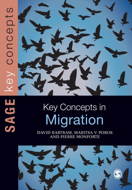 Key Concepts in Migration, Paperback / softback Book