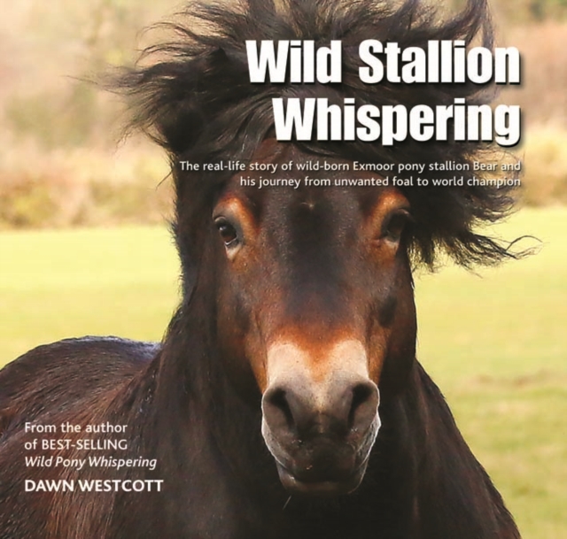 Wild Stallion Whispering : The Real-Life Story of Wild-Born Exmoor Pony Stallion Bear and His Journey from Unwanted Foal to World Champion, Hardback Book