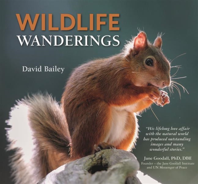 Wildlife Wanderings, Hardback Book