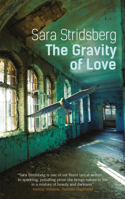 The Gravity of Love, Paperback / softback Book
