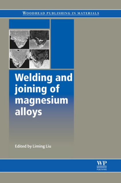 Welding and Joining of Magnesium Alloys, EPUB eBook