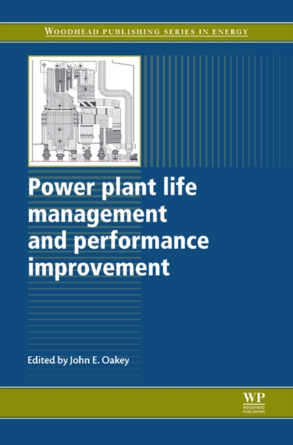 Power Plant Life Management and Performance Improvement, EPUB eBook
