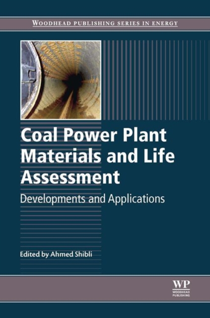 Coal Power Plant Materials and Life Assessment : Developments and Applications, EPUB eBook