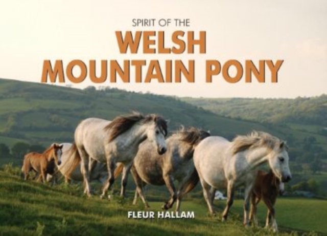 Spirit of the Welsh Mountain Pony, Hardback Book
