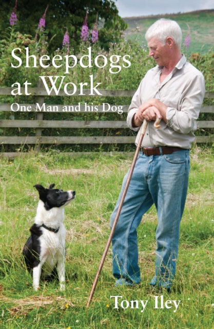 Sheepdogs at Work, EPUB eBook