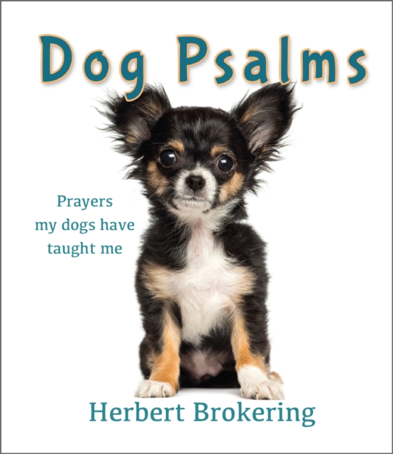 Dog Psalms : Prayers my dogs have taught me, Hardback Book