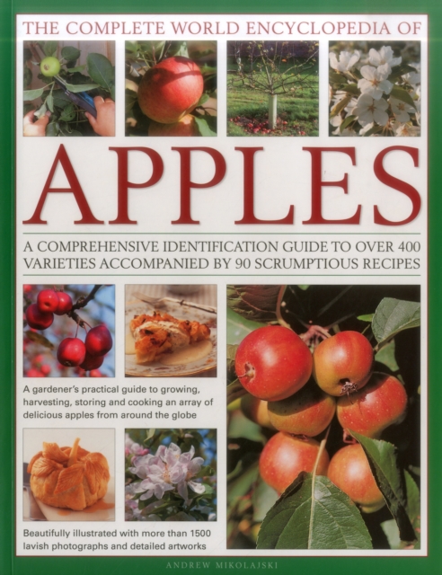 The Complete World Encyclopedia of Apples : A Comprehensive Identification Guide to Over 400 Varieties Accompanied by 95 Scrumptious Recipes, Paperback / softback Book