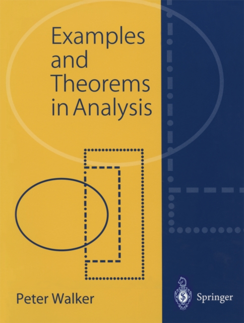 Examples and Theorems in Analysis, PDF eBook