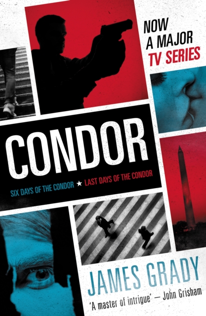 Condor, Paperback / softback Book