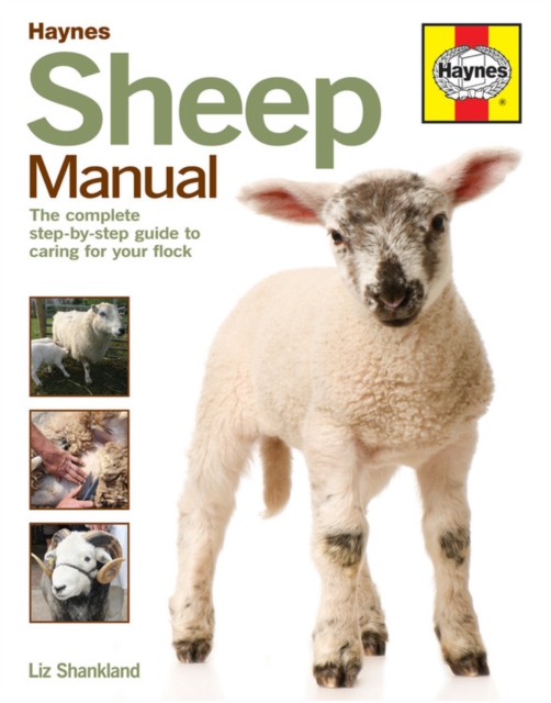 Sheep Manual : The complete step-by-step guide to caring for your flock, Hardback Book