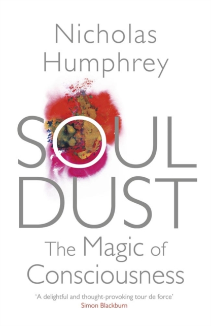 Soul Dust : The Magic of Consciousness, Paperback / softback Book