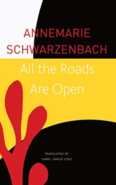 All the Roads Are Open : The Afghan Journey, Paperback / softback Book
