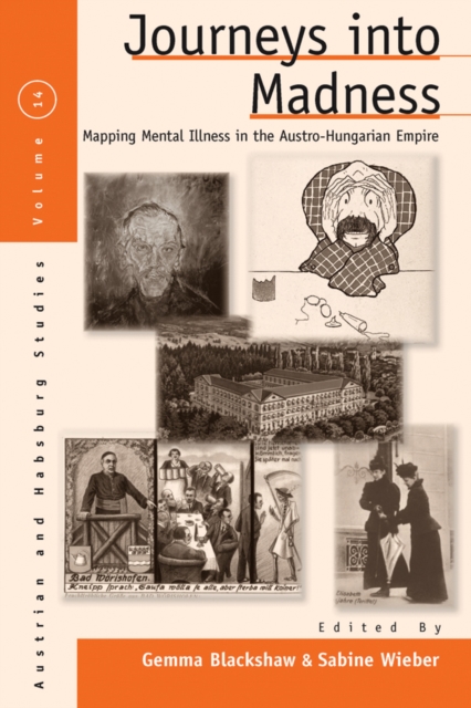 Journeys Into Madness : Mapping Mental Illness in the Austro-Hungarian Empire, EPUB eBook