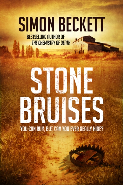 Stone Bruises, Paperback / softback Book