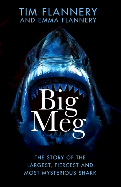 Big Meg : The Story of the Largest, Fiercest and Most Mysterious Shark, Hardback Book