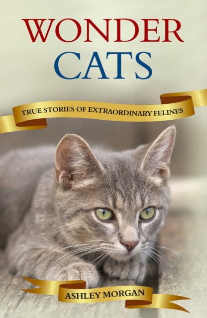 Wonder Cats : True Tales of Extraordinary Felines, EPUB eBook