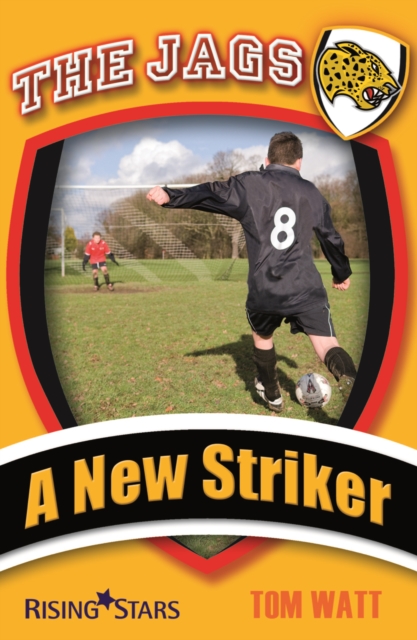 A New Striker, EPUB eBook
