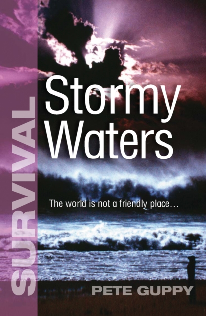 Stormy Waters, EPUB eBook