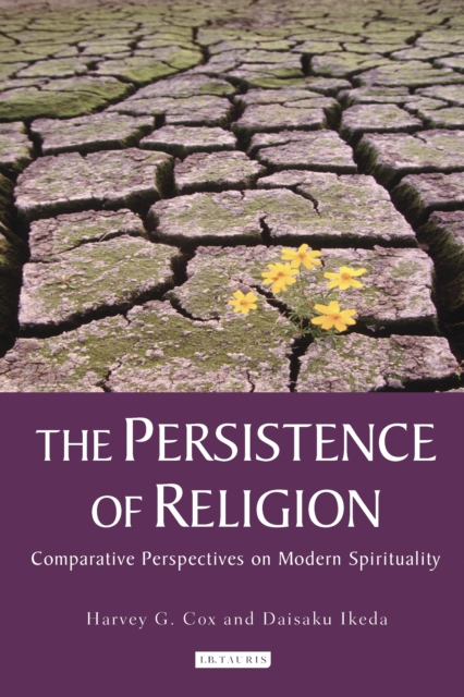 The Persistence of Religion : Comparative Perspectives on Modern Spirituality, PDF eBook