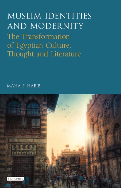 Muslim Identities and Modernity : The Transformation of Egyptian Culture, Thought and Literature, EPUB eBook