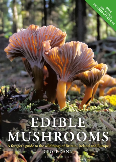Edible Mushrooms : A forager's guide to the wild fungi of Britain, Ireland and Europe, Paperback / softback Book