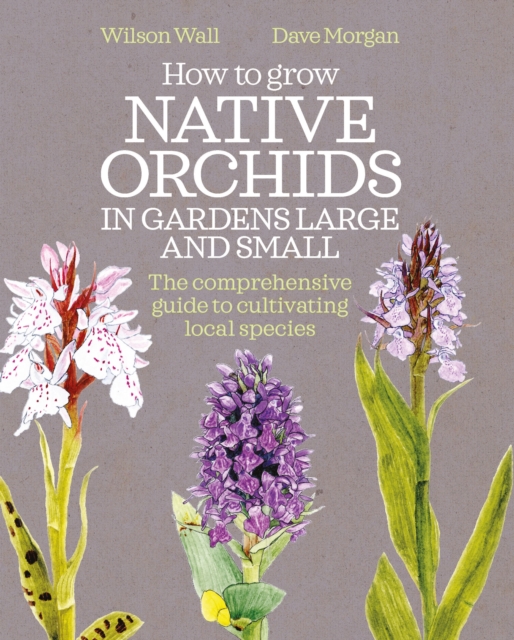How to Grow Native Orchids in Gardens Large and Small : the comprehensive guide to cultivating local species, Hardback Book