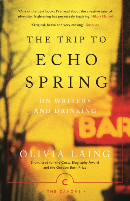 The Trip to Echo Spring : On Writers and Drinking, EPUB eBook