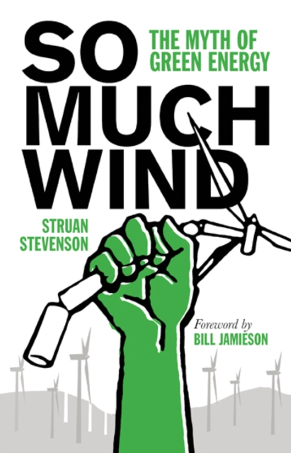 So Much Wind, EPUB eBook