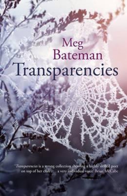 Transparencies, EPUB eBook