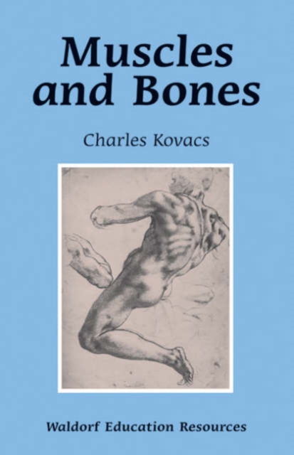 Muscles and Bones, Paperback / softback Book