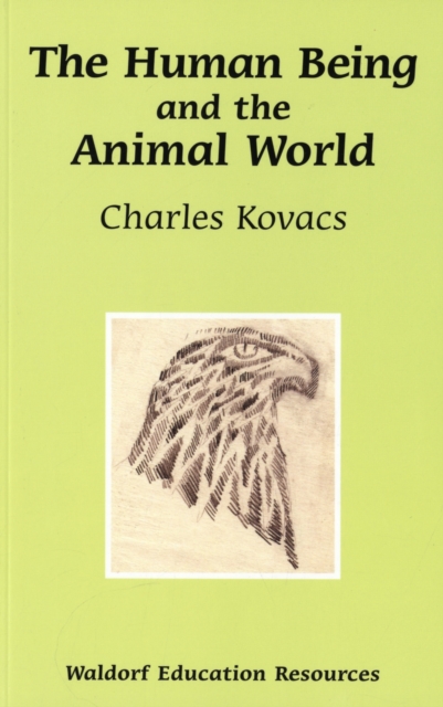 The Human Being and the Animal World, Paperback / softback Book