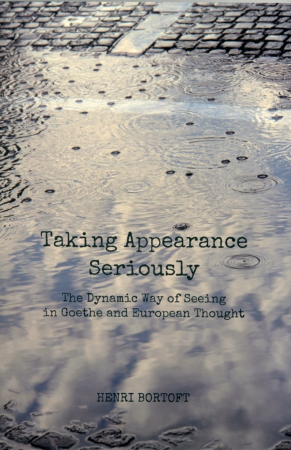 Taking Appearance Seriously : The Dynamic Way of Seeing in Goethe and European Thought, Paperback / softback Book