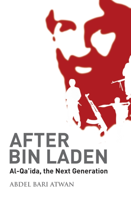 After bin Laden, EPUB eBook