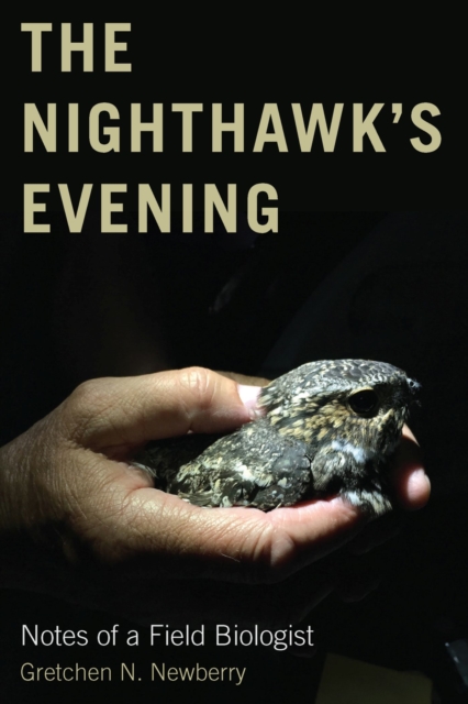 The Nighthawk's Evening : Notes of a Field Biologist, Paperback / softback Book