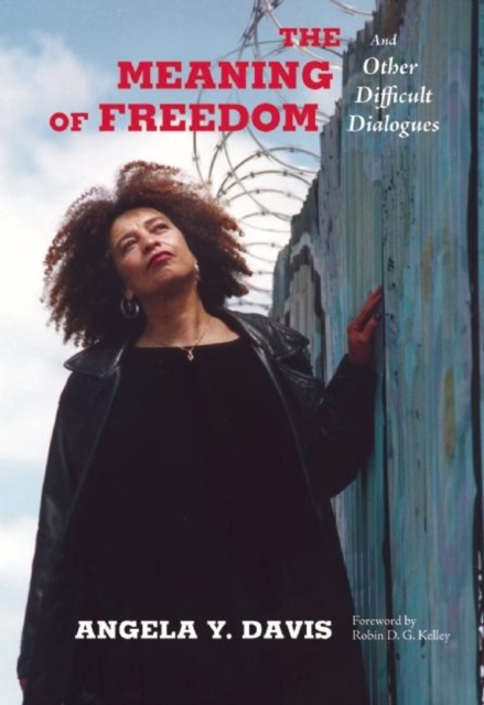 The Meaning of Freedom : And Other Difficult Dialogues, Paperback / softback Book
