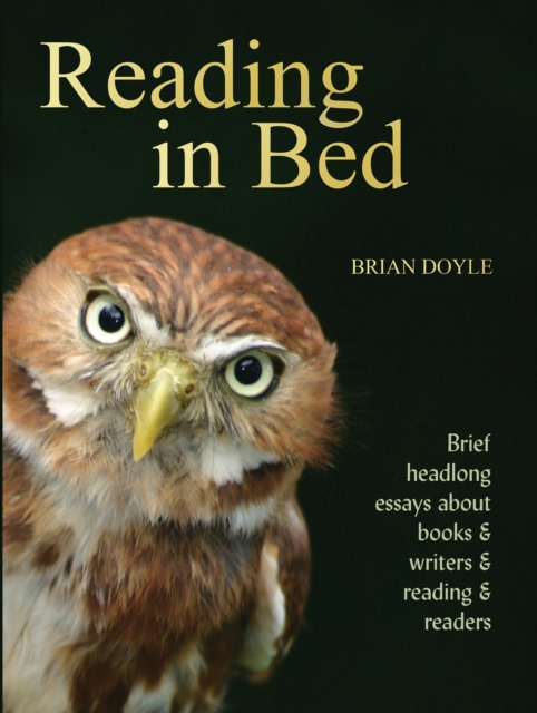 Reading In Bed, EPUB eBook