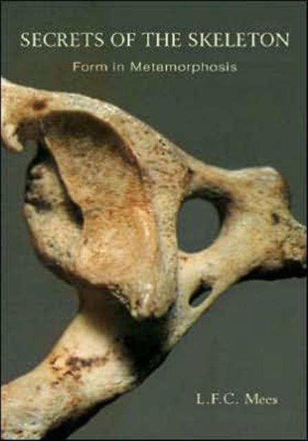 Secrets of the Skeleton : Form in Metamorphosis, Paperback / softback Book