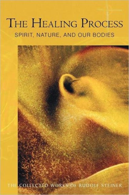 The Healing Process : Spirit, Nature and Our Bodies, Paperback / softback Book