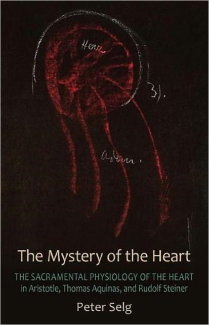 The Mystery of the Heart : Studies on the Sacramental Physiology of the Heart.  Aristotle | Thomas Aquinas | Rudolf Steiner, Paperback / softback Book
