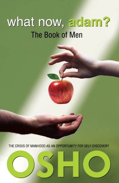 What Now, Adam? : The Book of Men, EPUB eBook